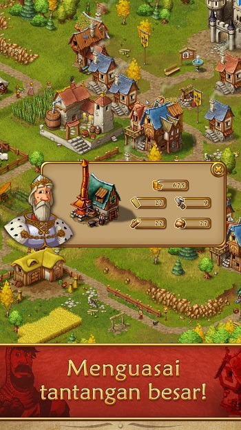 Townsmen Premium 3